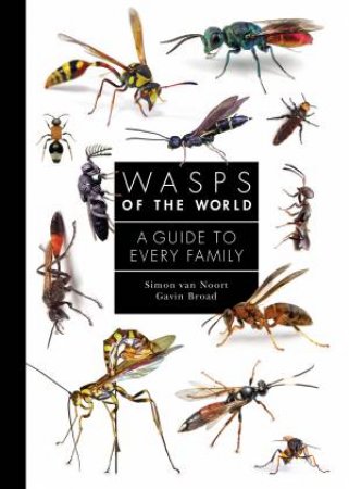 Wasps of the World by Simon Noort & Gavin Broad