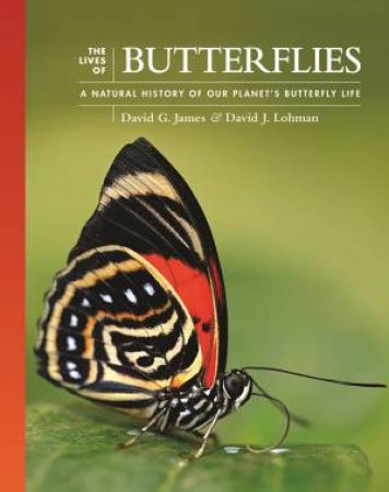 The Lives of Butterflies by David G. James & David J. Lohman