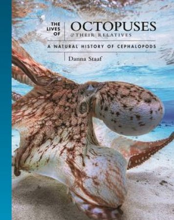 The Lives of Octopuses and Their Relatives by Danna Staaf