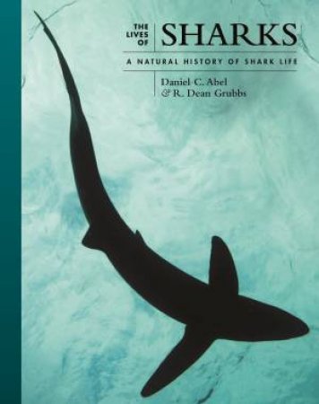 The Lives of Sharks by Daniel C. Abel & R. Dean Grubbs