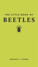 The Little Book of Beetles