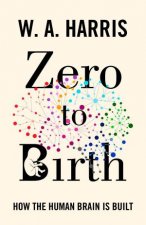 Zero to Birth