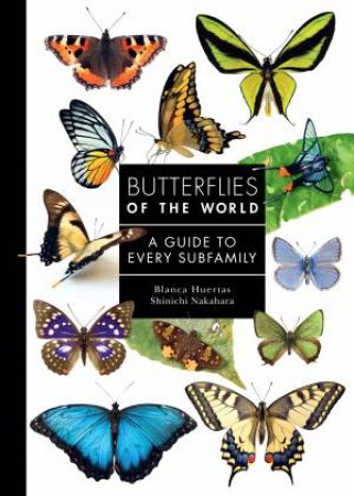 Butterflies of the World by Blanca Huertas & Shinichi Nakahara