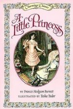 Charming Classics A Little Princess  Book  Charm