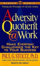 The Adversity Quotient  Work  Cassette