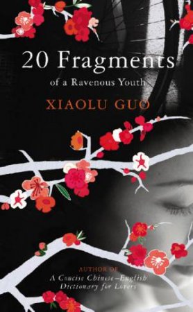 20 Fragments Of A Ravenous Youth by Xiaolu Guo