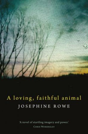 A Loving, Faithful Animal by Josephine Rowe