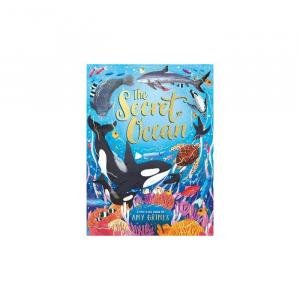 The Secret Ocean by Amy Grimes