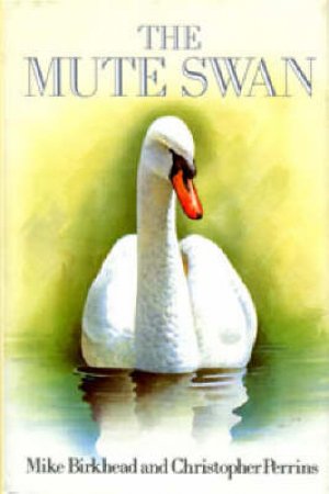 Mute Swan by Mike Birkhead and Chris Perrins