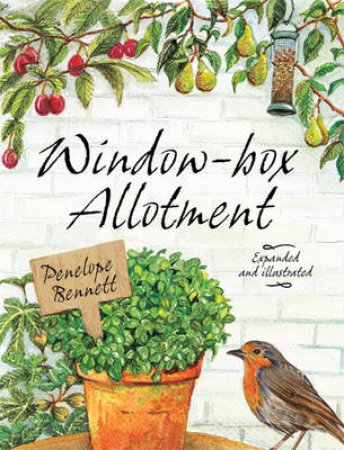 Window Box Allotment by Penelope Bennett