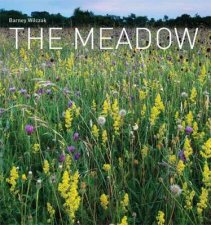 The Meadow