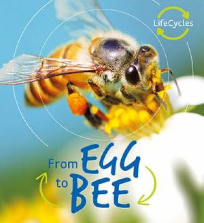 Egg to Bee (Lifecycles) by Camilla de la Bedoyere