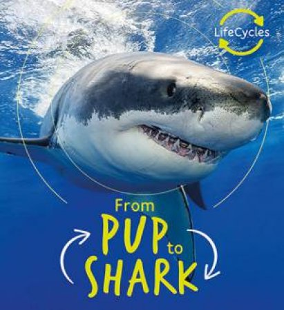 Pup To Shark (Lifecycles) by Camilla de la Bedoyere