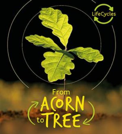 Acorn to Tree (Lifecycles) by Camilla de la Bedoyere