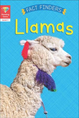 Llamas by Katie Woolley