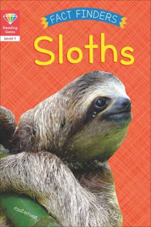 Sloths by Katie Woolley