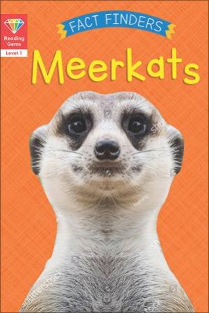 Meerkats by Katie Woolley
