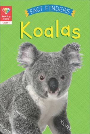 Koalas by Katie Woolley