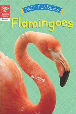 Flamingoes by Katie Woolley