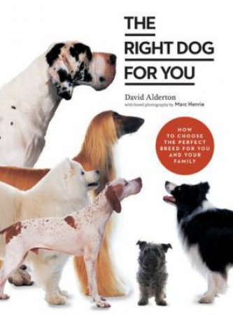 The Right Dog For You by David Alderton