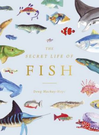 The Secret Life Of Fish by Doug Mackay