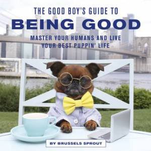 The Good Boy's Guide To Being Good by Various