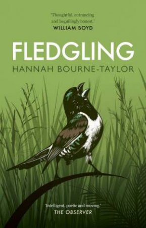 Fledgling by Hannah Bourne-Taylor