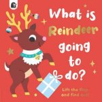 What Is Reindeer Going To Do