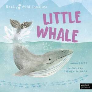 Little Whale by Anna Brett & Carmen Saldana