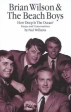 Brian Wilson  The Beach Boys How Deep Is The Ocean Essays And Conversations