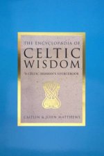 The Encyclopaedia Of Celtic Wisdom