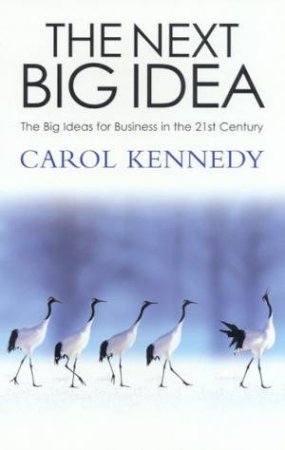 The Next Big Idea by Carol Kennedy
