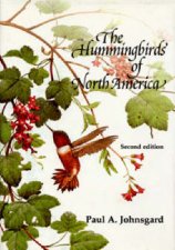 Hummingbirds Of North America