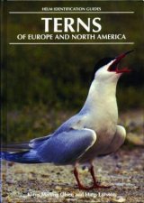 Terns Of Europe  North America