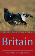 Where To Watch Birds Britain
