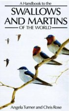 Handbook To The Swallows And Martins Of The World