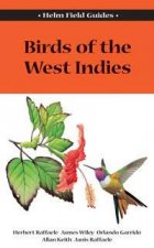 Field Guide To Birds Of West Indies