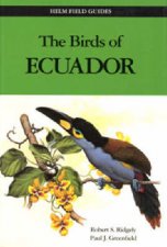 Birds Of Ecuador