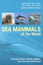 Sea Mammals Of The World