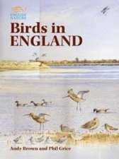 English Nature Birds In England