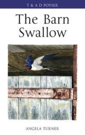 Barn Swallow by Turner Angela