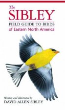 Field Guide To Birds Of Eastern North America