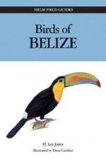 Helm Field Guides Birds Of Belize