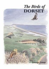 Birds Of Dorset