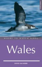 Where to Watch Birds in Wales