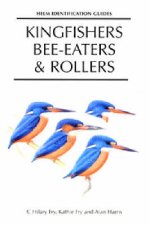 Kingfishers BeeEaters Rollers