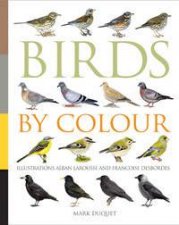 Birds by Colour