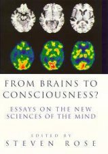 From Brains To Consciousness