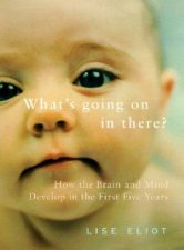 Whats Going On In There Your Babys Brain  Emerging Mind