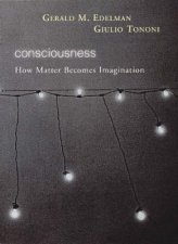Consciousness How Matter Becomes Imagination